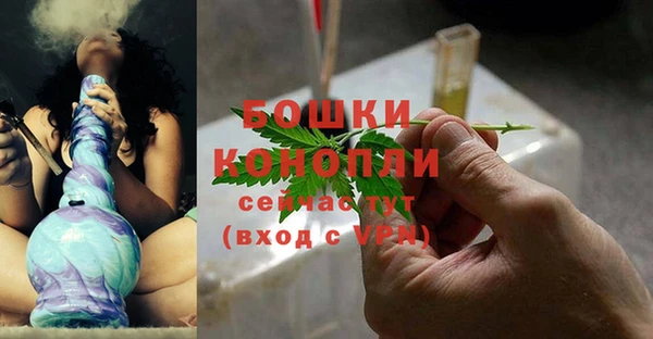 сатива Кукмор