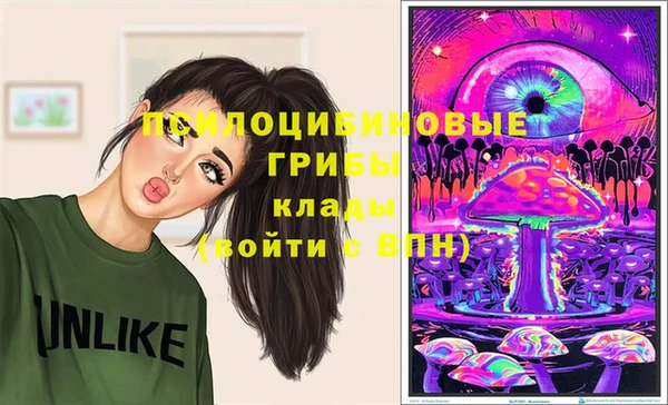 спиды Лабытнанги