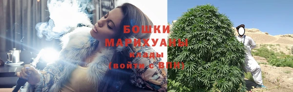 гидра Лагань