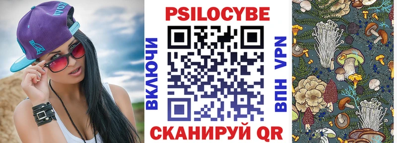 продажа наркотиков  Лихославль  Псилоцибиновые грибы мицелий 